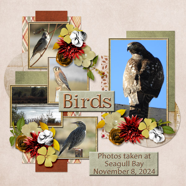 birds_small1