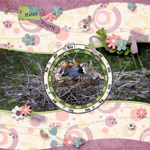 Birdsnest