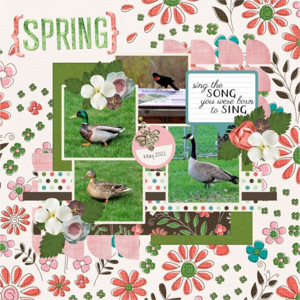 Birdsong.jpg