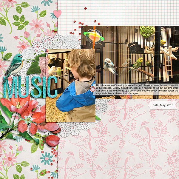 Birdsong