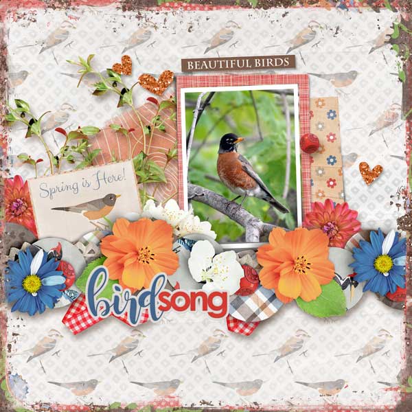 Birdsong