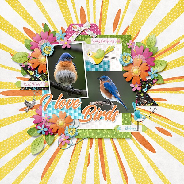 Birdsong