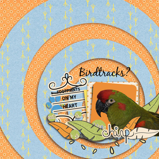 birdtracks on my heart