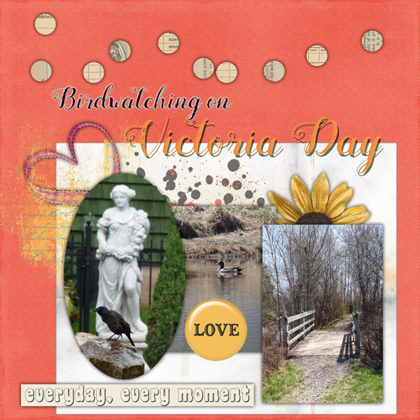 Birdwatching on Victoria Day
