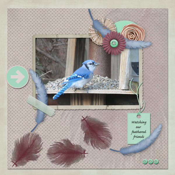 Birdwatching