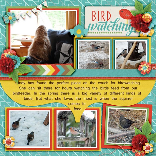 Birdwatching