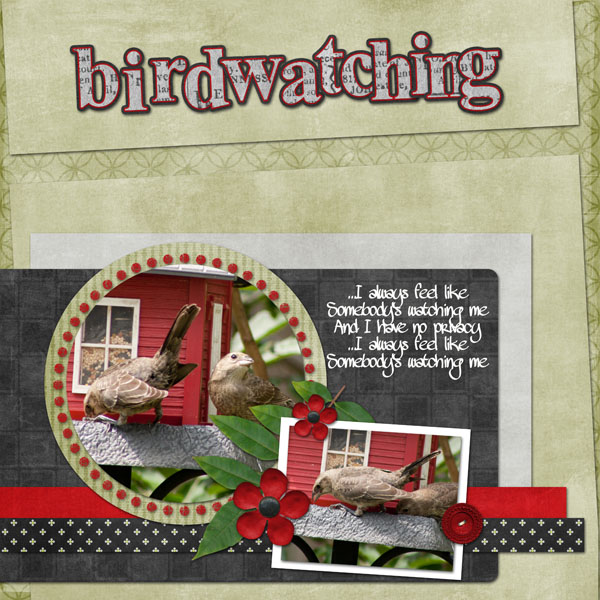 Birdwatching