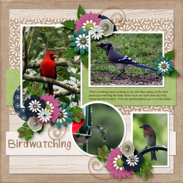 Birdwatching