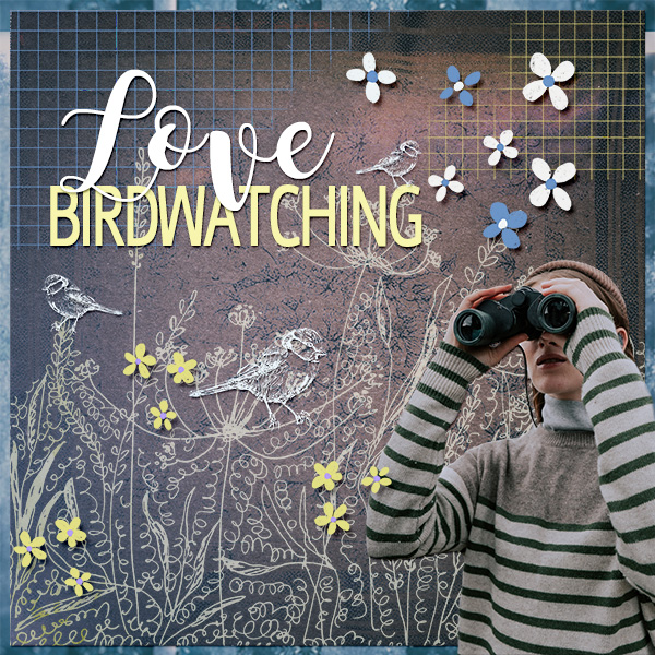 Birdwatching