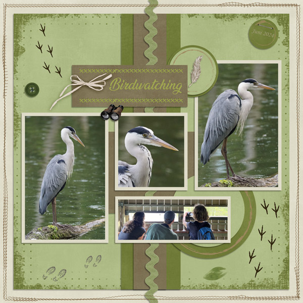 Birdwatching