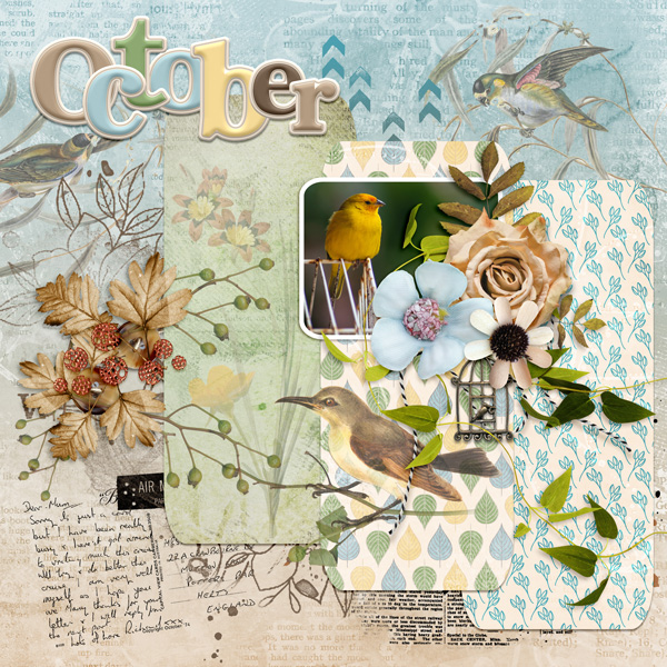 Birdy October