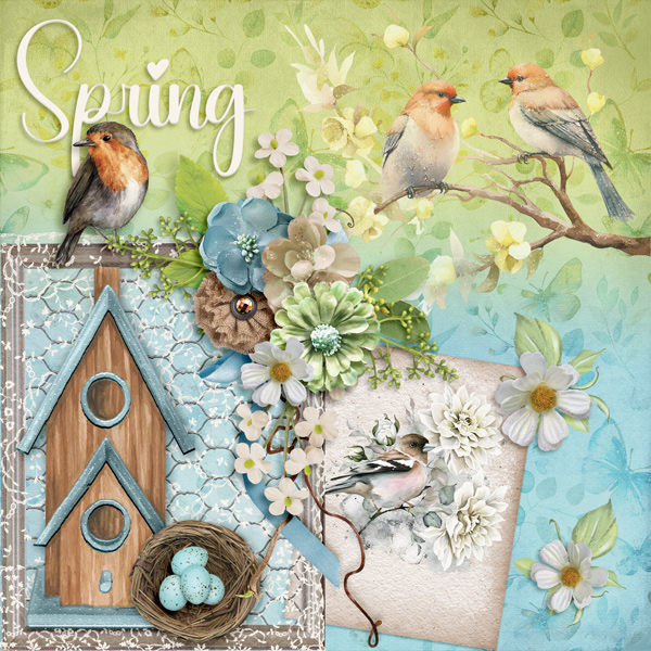 Birdy Softly Spring