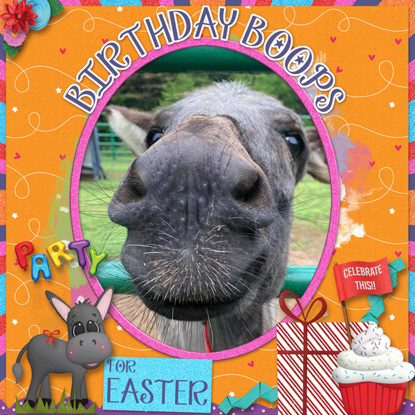 Birthday Boops