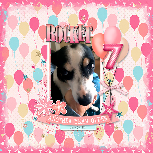 Birthday Dog