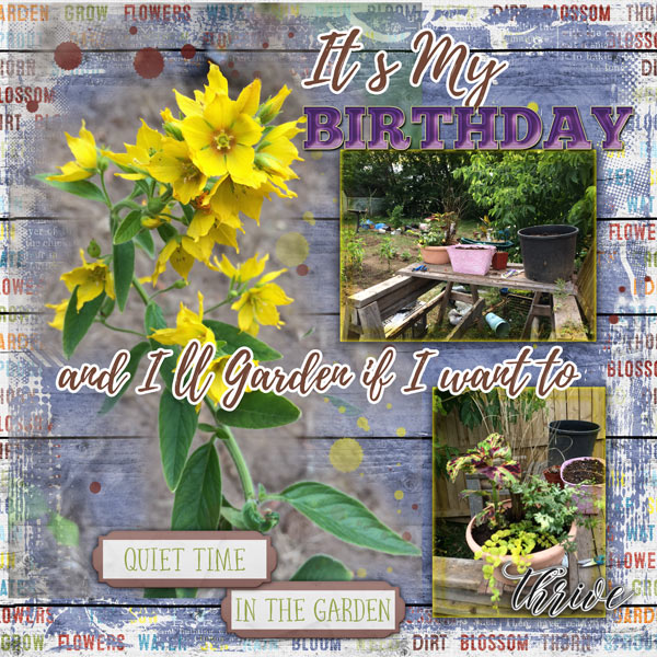 Birthday in the Garden