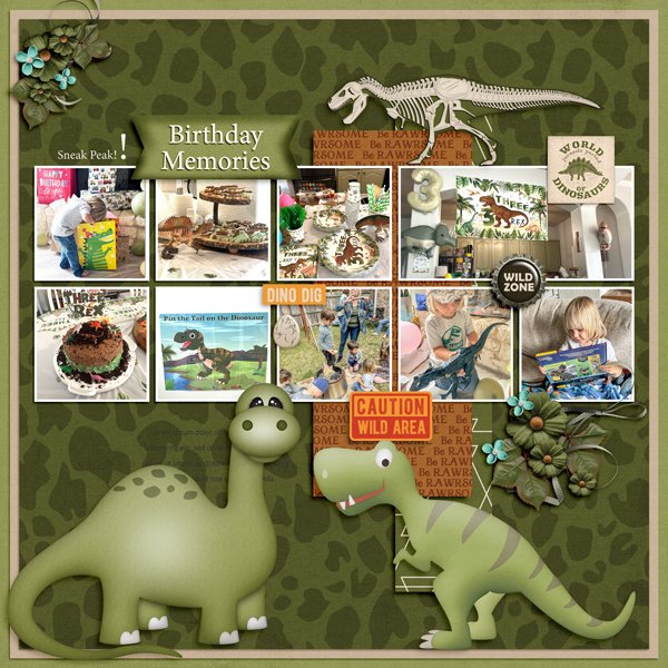 Birthday Memories