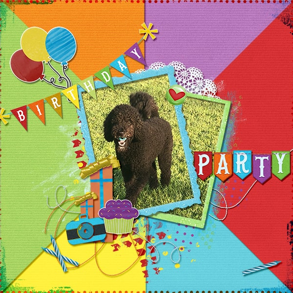 Birthday Party