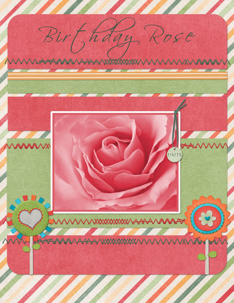 Birthday Rose