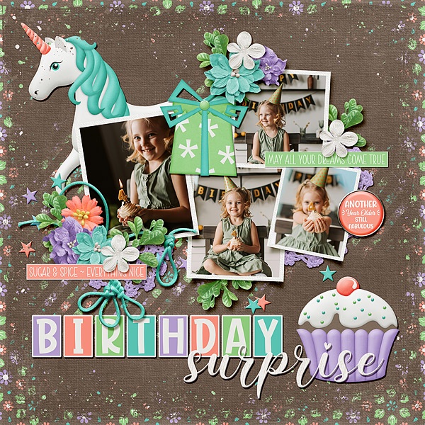 Birthday Surprise