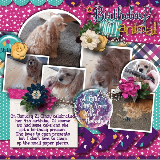 Birthday_party_animal