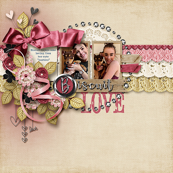 Biscuit Love