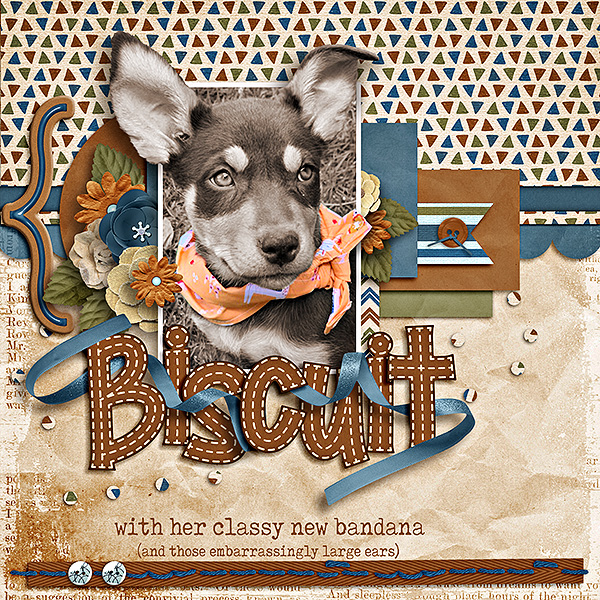 Biscuit