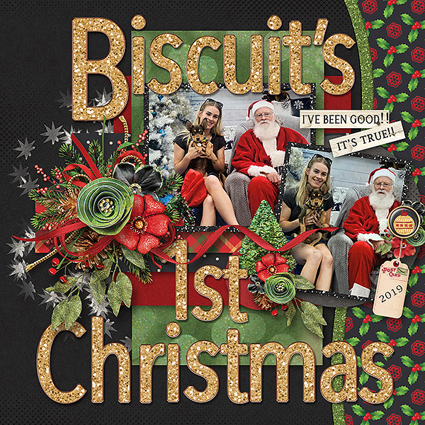 Biscuit