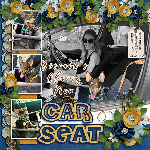 Biscuit's Classy New Car Seat