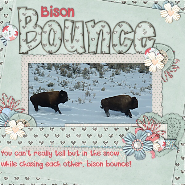Bison Bounce