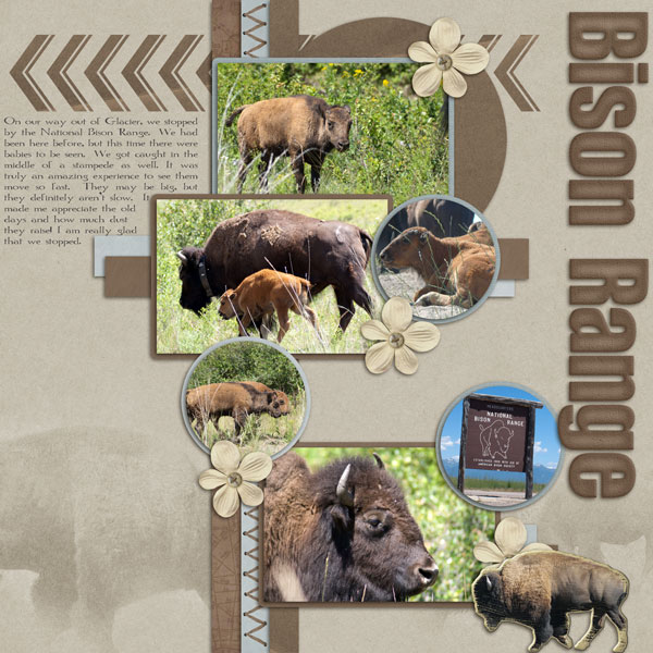 Bison Range R