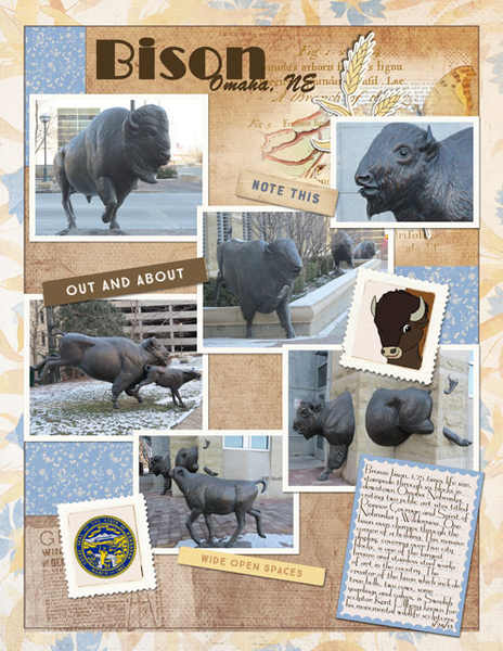 Bison