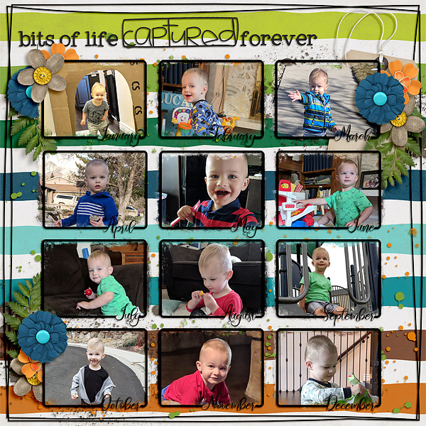 Bits of Life Captured Forever