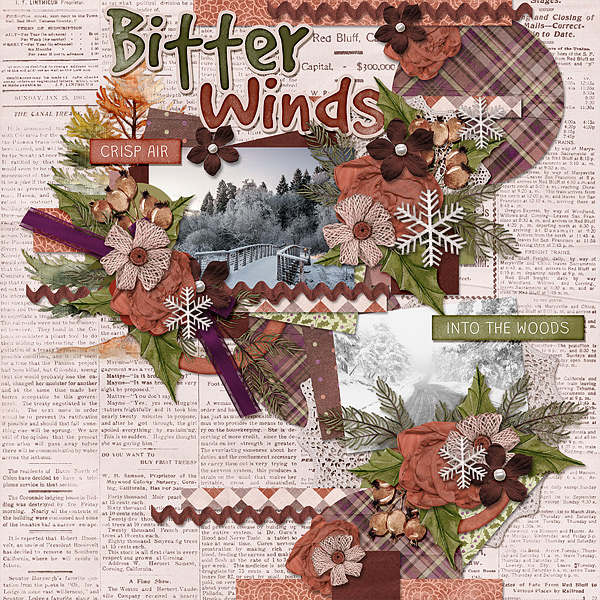 Bitter Winds