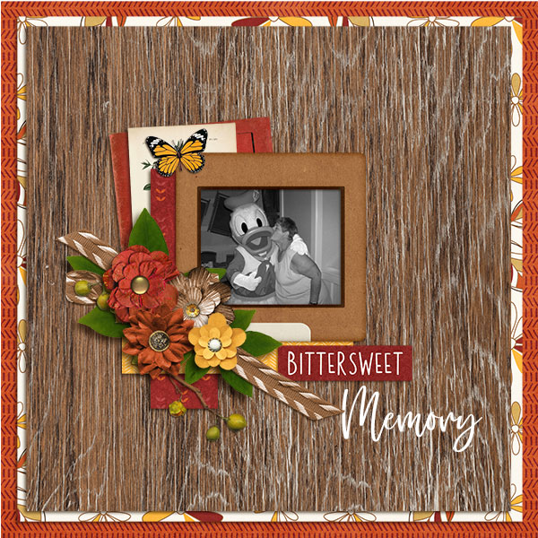 Bittersweet Memory