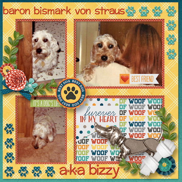 Bizzy-Boy!