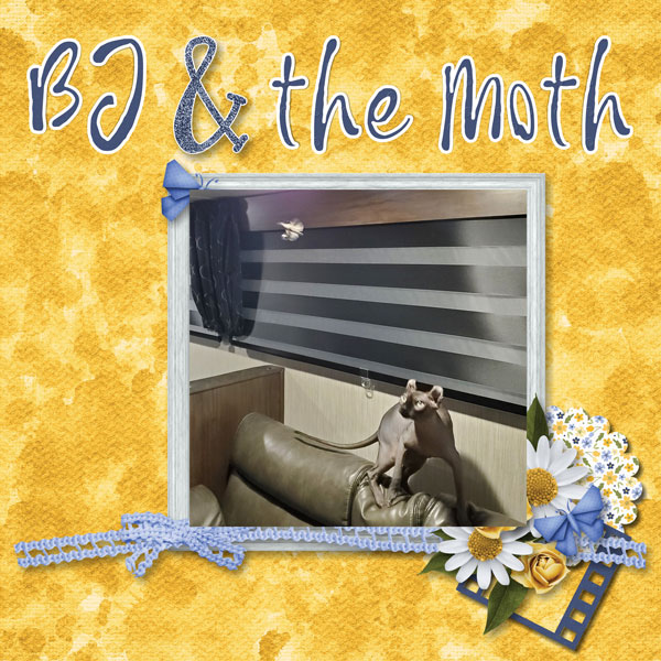 BJ and the Moth