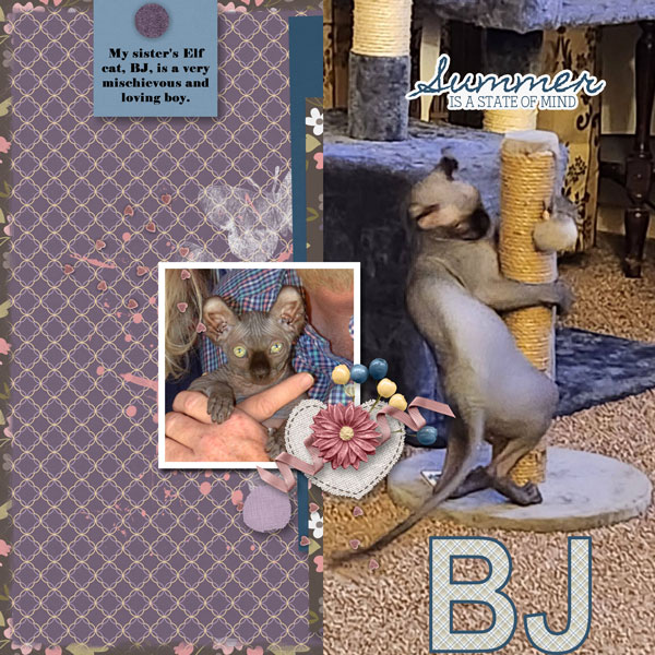 BJ