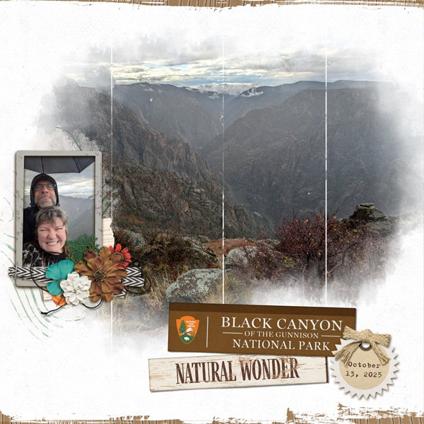 Black Canyon of the Gunnison in the rain