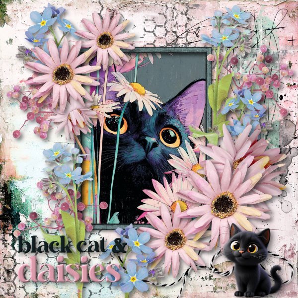 black cat and daisies