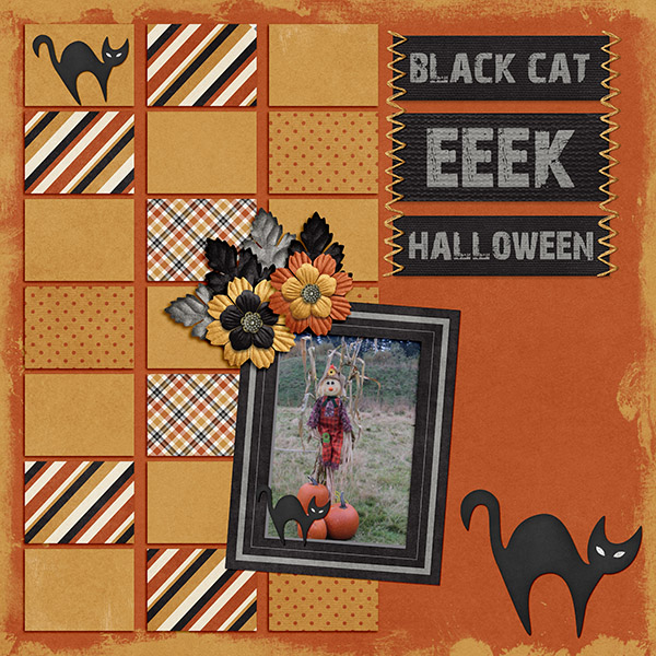 Black Cat + Frienly Scarecrow