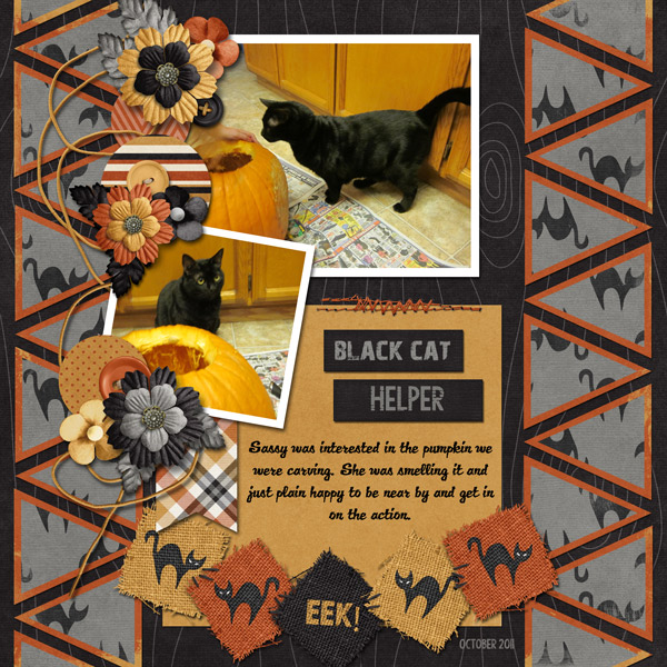 black cat helper