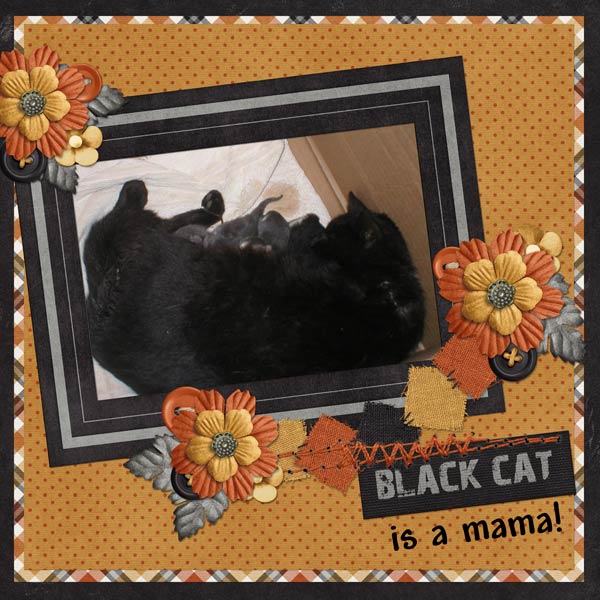 Black Cat is a mama!