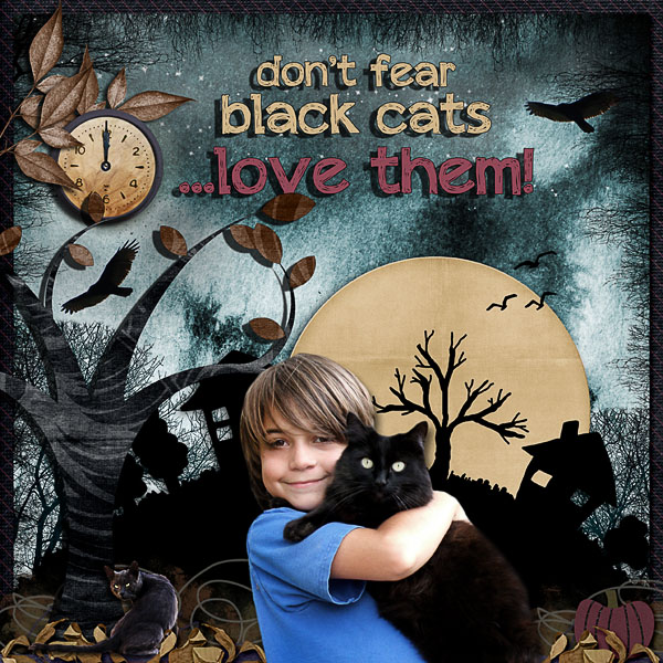 black cat
