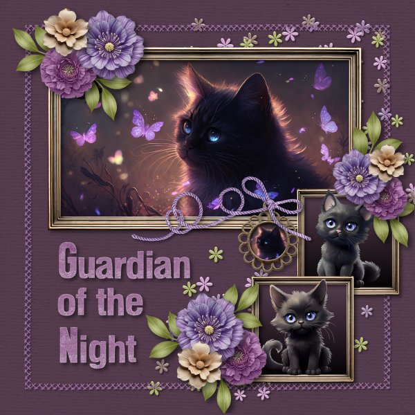 black cat