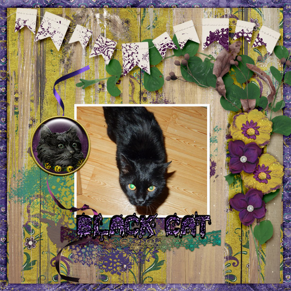 Black-cat2