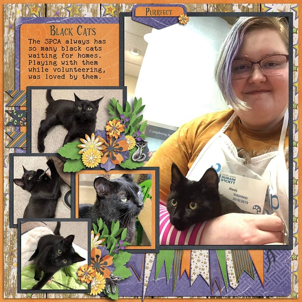 Black Cats