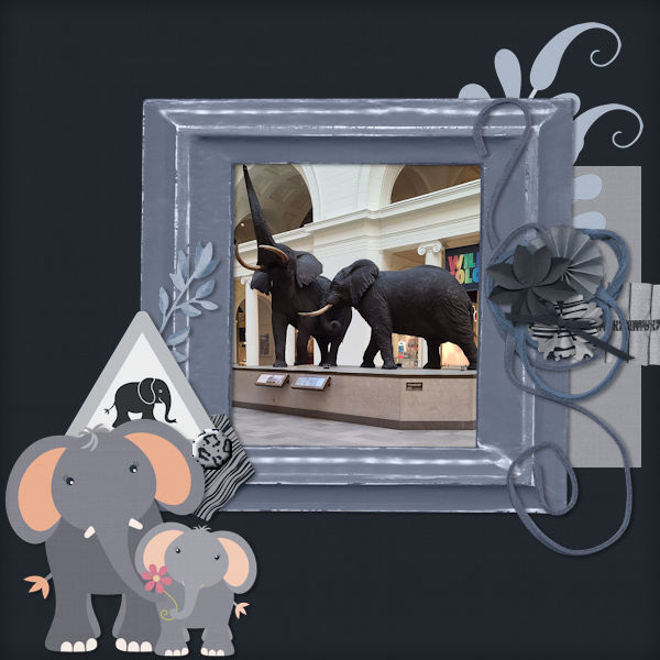 Black Elephants