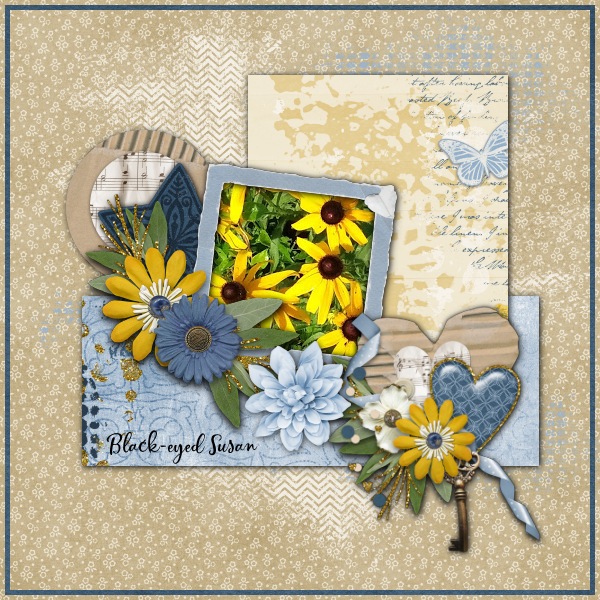 Black-Eyed Susan