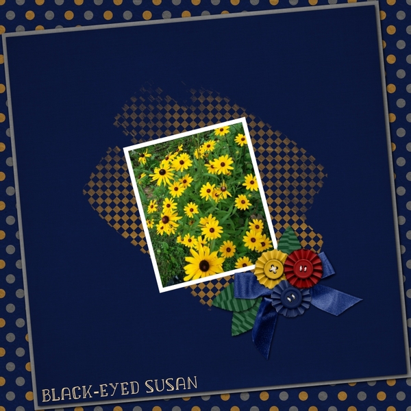 Black-Eyed Susan