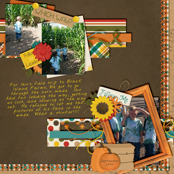 Black Island Corn Maze